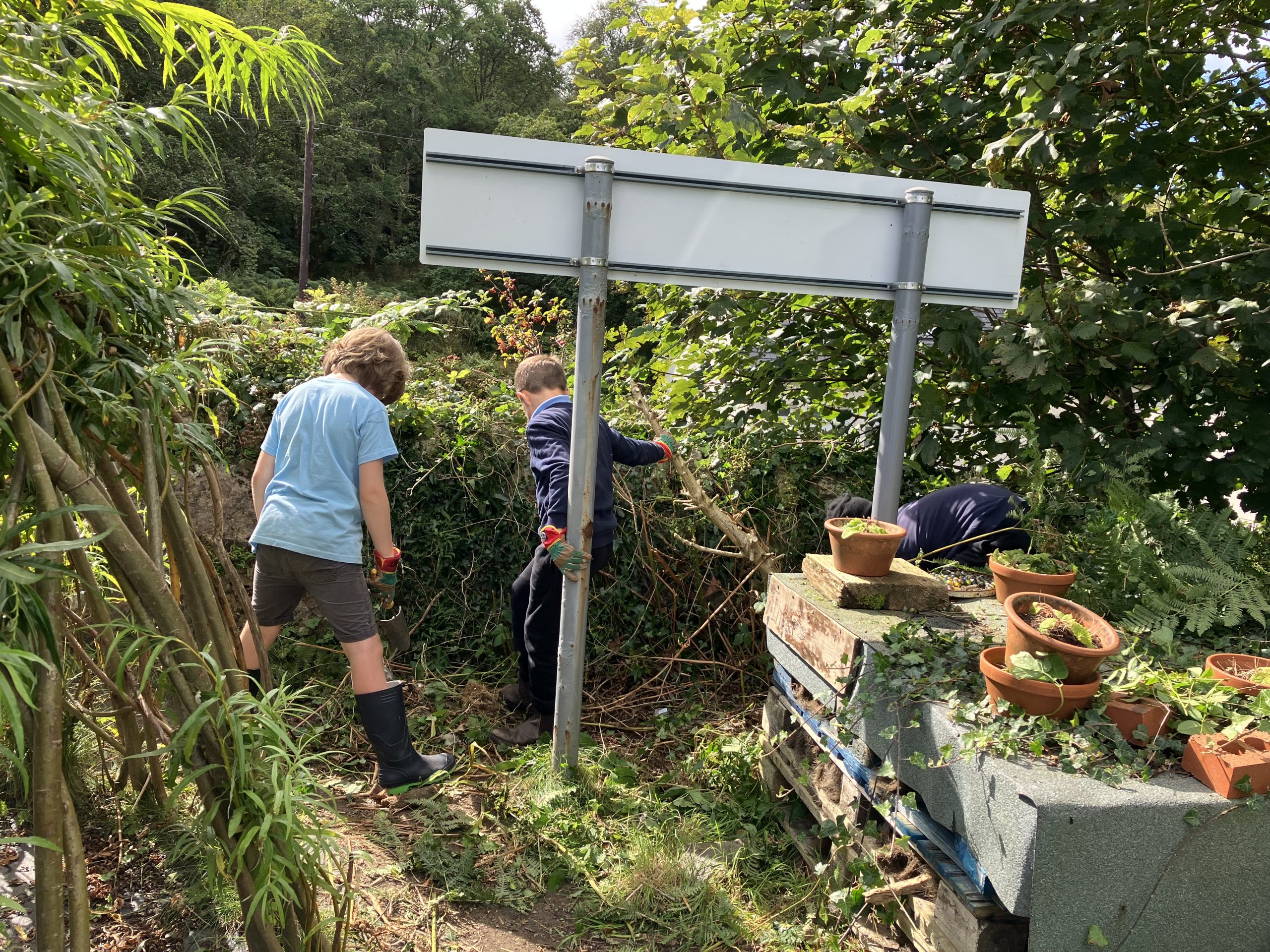 Lunchtime volunteers