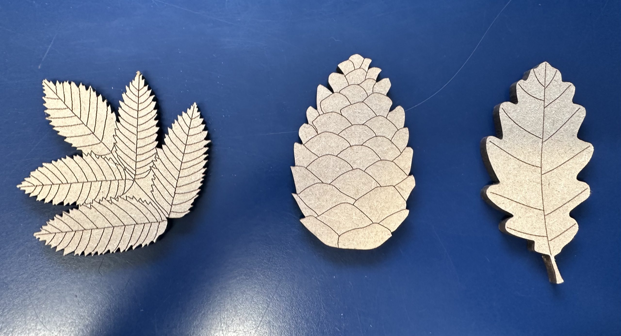 Leaf Leaf